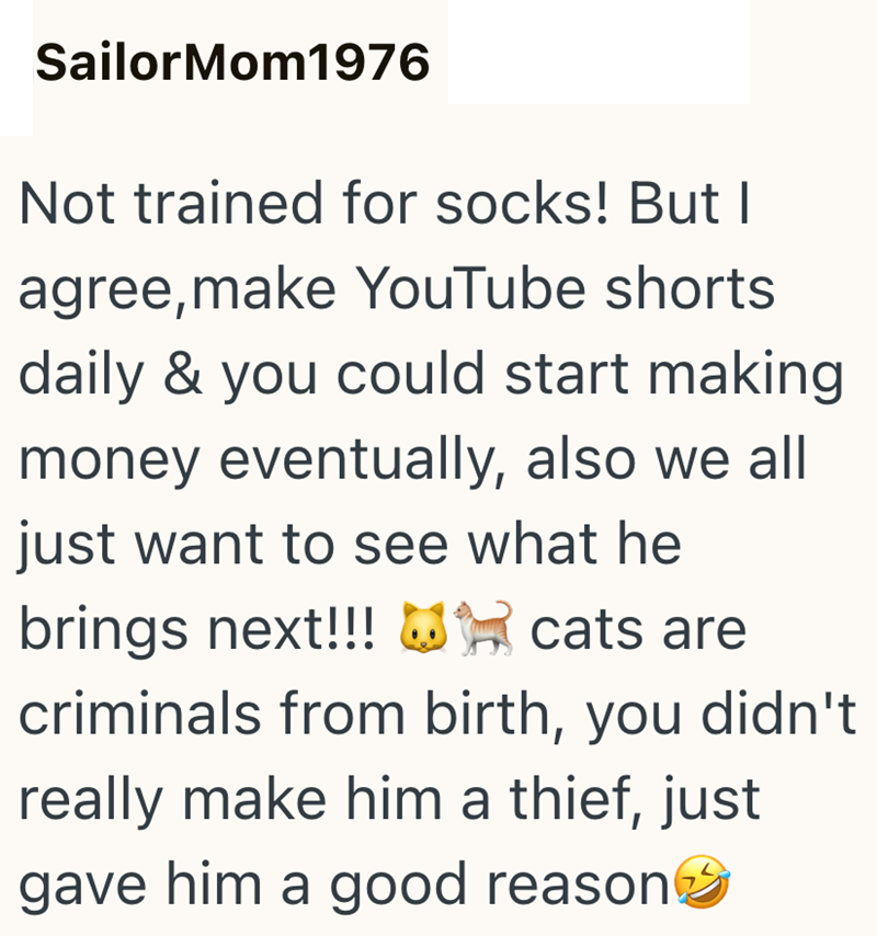SailorMom1976 Not trained for socks! But I agree,make YouTube shorts daily & you could start making money eventually, also we all just want to see what he brings next!!! cats are criminals from birth, you didn't really make him a thief, just gave him a good reason>