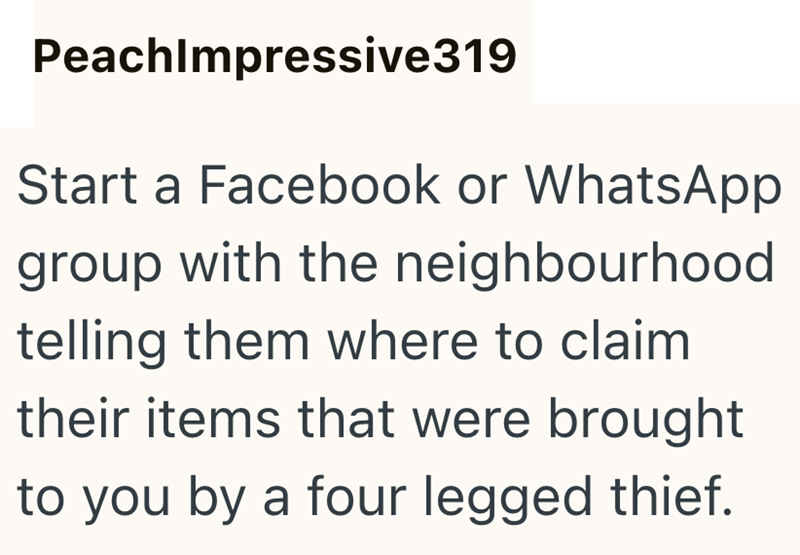PeachImpressive319 Start a Facebook or WhatsApp group with the neighbourhood telling them where to claim their items that were brought to you by a four legged thief.