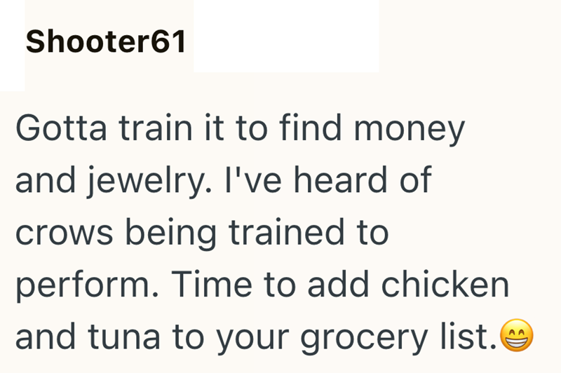 D Shooter61 Gotta train it to find money and jewelry. I've heard of crows being trained to perform. Time to add chicken and tuna to your grocery list.