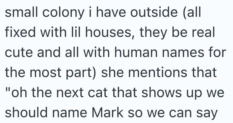 small colony i have outside (all fixed with lil houses, they be real cute and all with human names for the most part) she mentions that "oh the next cat that shows up we should name Mark so we can say