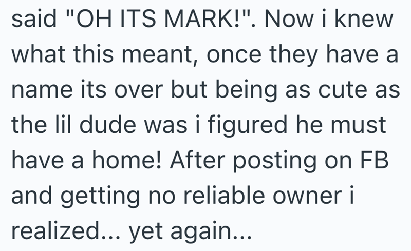 said "OH ITS MARK!". Now i knew what this meant, once they have a name its over but being as cute as the lil dude was i figured he must have a home! After posting on FB and getting no reliable owner i realized... yet again...