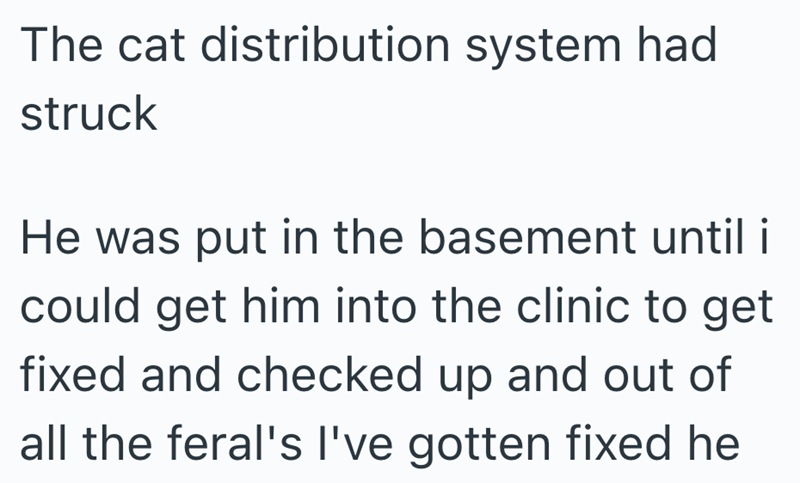 The cat distribution system had struck He was put in the basement until i could get him into the clinic to get fixed and checked up and out of all the feral's I've gotten fixed he