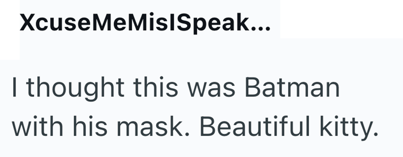 XcuseMeMislSpeak... I thought this was Batman with his mask. Beautiful kitty.