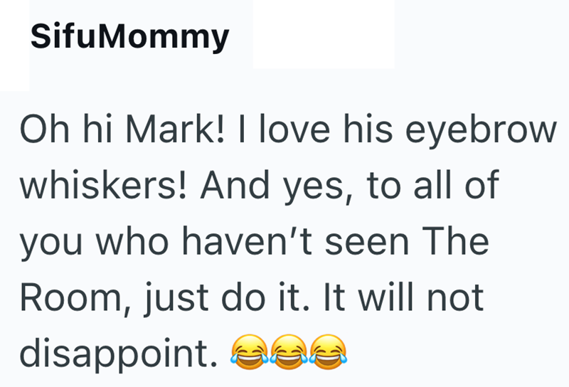 SifuMommy Oh hi Mark! I love his eyebrow whiskers! And yes, to all of you who haven't seen The Room, just do it. It will not disappoint. ee