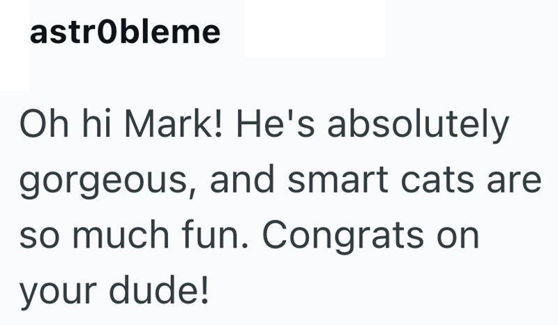 astrobleme Oh hi Mark! He's absolutely gorgeous, and smart cats are so much fun. Congrats on your dude!
