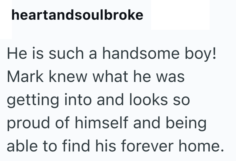 heartandsoulbroke He is such a handsome boy! Mark knew what he was getting into and looks so proud of himself and being able to find his forever home.