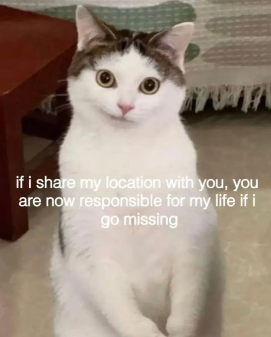 if i share my location with you, you are now responsible for my life if i go missing