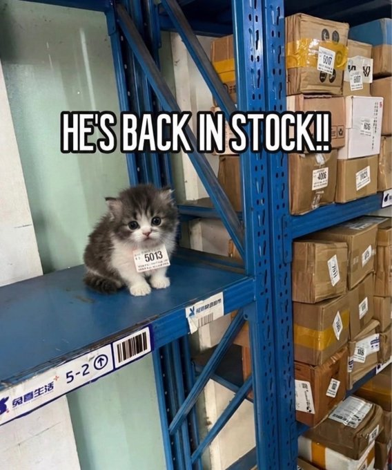 财生活5-2 HES BACK IN STOCK!! 5013 50G