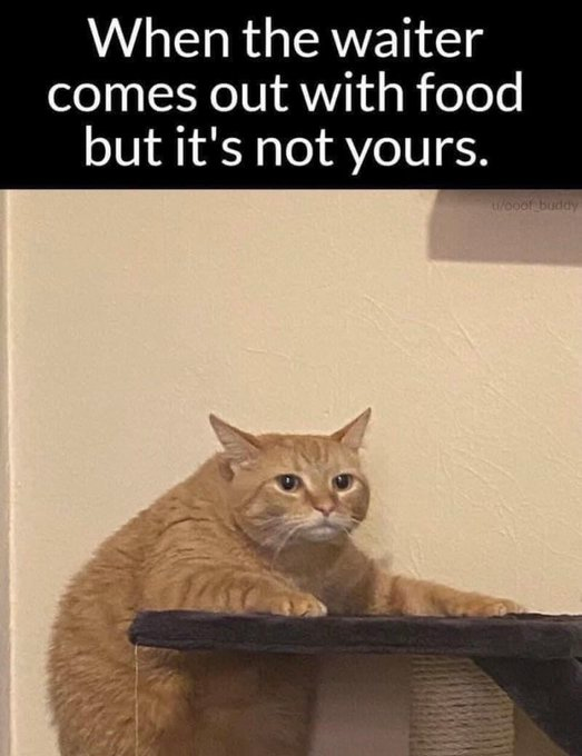 When the waiter comes out with food but it's not yours. u/ooof buddy