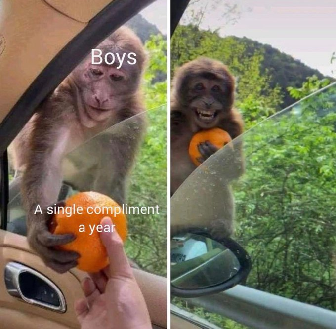 Boys A single compliment a year