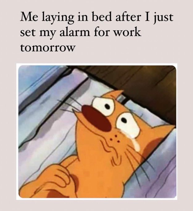 Me laying in bed after I just set my alarm for work tomorrow