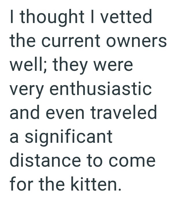 I thought I vetted the current owners well; they were very enthusiastic and even traveled a significant distance to come for the kitten.