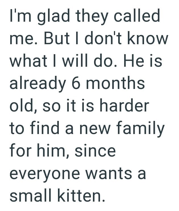 I'm glad they called me. But I don't know what I will do. He is already 6 months old, so it is harder to find a new family for him, since everyone wants a small kitten.
