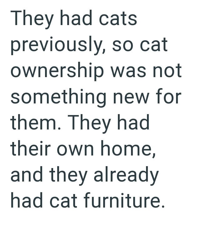 They had cats previously, so cat ownership was not something new for them. They had their own home, and they already had cat furniture.