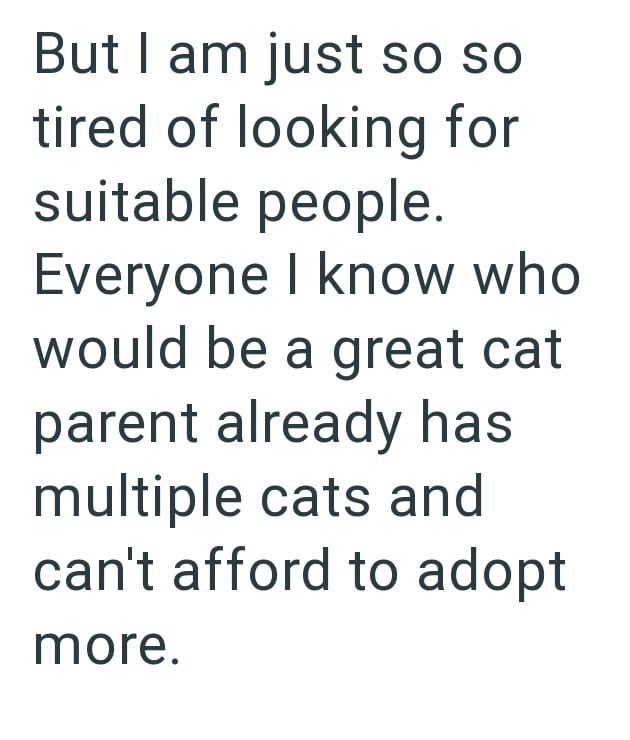 But I am just so so tired of looking for suitable people. Everyone I know who would be a great cat parent already has multiple cats and can't afford to adopt more.
