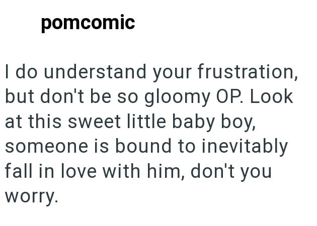 pomcomic I do understand your frustration, but don't be so gloomy OP. Look at this sweet little baby boy, someone is bound to inevitably fall in love with him, don't you worry.