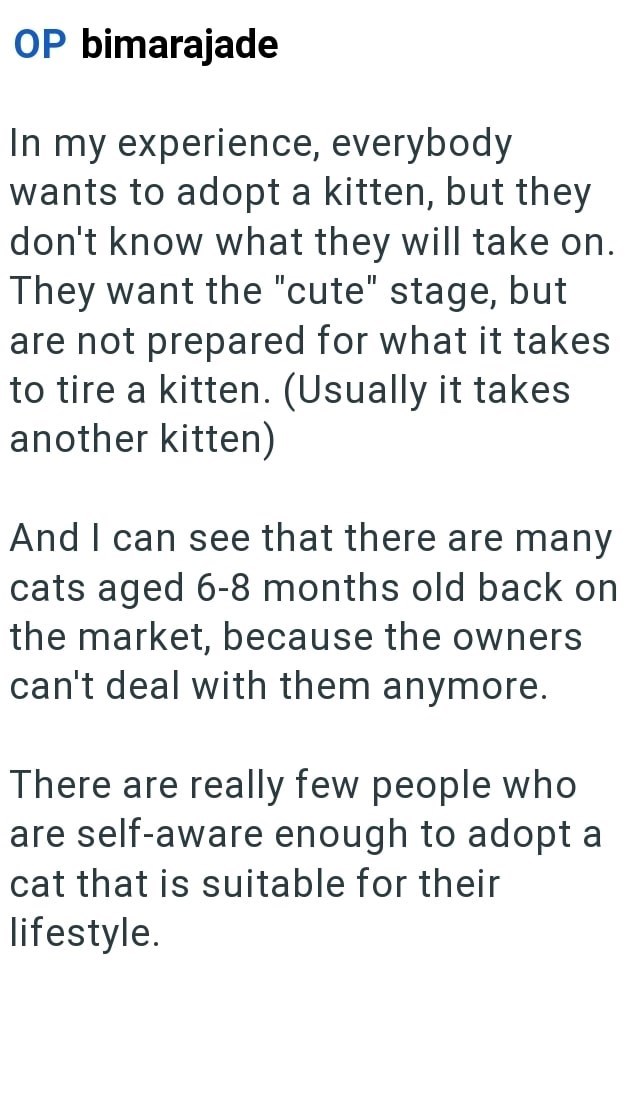 OP bimarajade In my experience, everybody wants to adopt a kitten, but they don't know what they will take on. They want the "cute" stage, but are not prepared for what it takes to tire a kitten. (Usually it takes another kitten) And I can see that there are many cats aged 6-8 months old back on the market, because the owners can't deal with them anymore. There are really few people who are self-aware enough to adopt a cat that is suitable for their lifestyle.