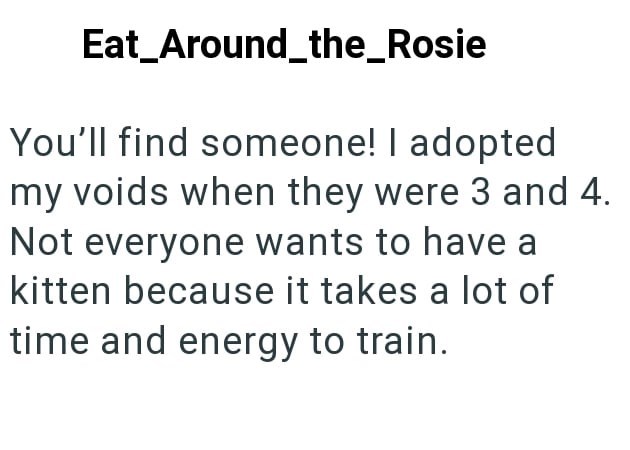 Eat_Around_the_Rosie You'll find someone! I adopted my voids when they were 3 and 4. Not everyone wants to have a kitten because it takes a lot of time and energy to train.