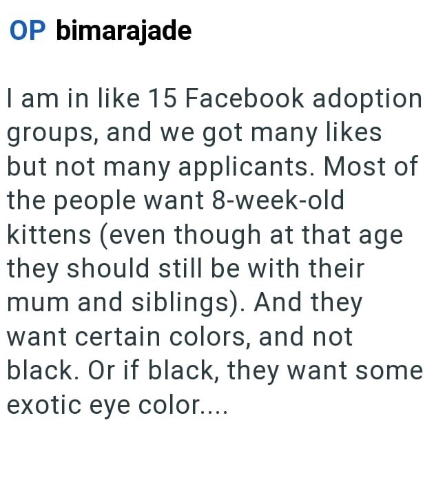 OP bimarajade I am in like 15 Facebook adoption groups, and we got many likes but not many applicants. Most of the people want 8-week-old kittens (even though at that age they should still be with their mum and siblings). And they want certain colors, and not black. Or if black, they want some exotic eye color....
