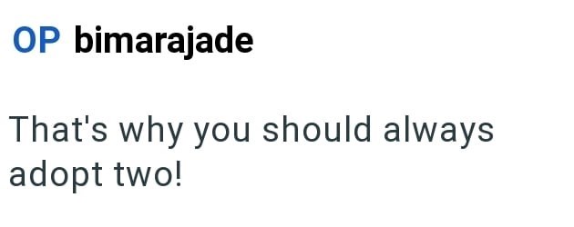 OP bimarajade That's why you should always adopt two!