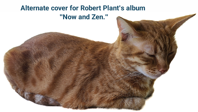 Cheezburger Image 10613409536