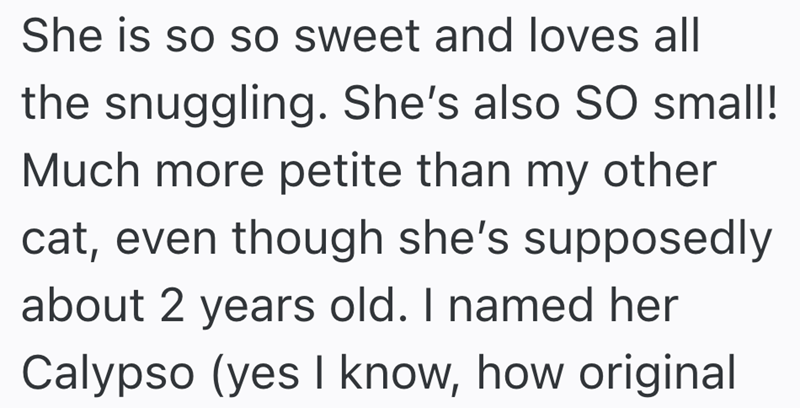 She is so so sweet and loves all the snuggling. She's also SO small! Much more petite than my other cat, even though she's supposedly about 2 years old. I named her Calypso (yes I know, how original