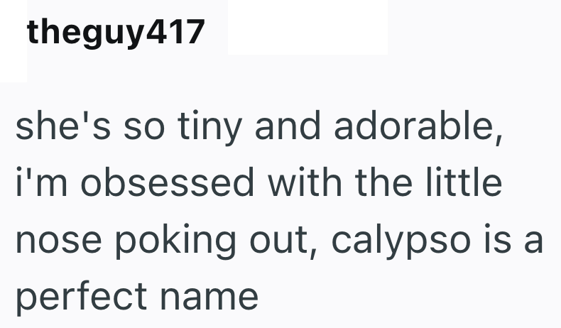 theguy417 she's so tiny and adorable, i'm obsessed with the little nose poking out, calypso is a perfect name