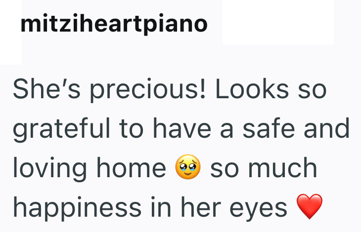 mitziheartpiano She's precious! Looks so grateful to have a safe and loving home so much happiness in her eyes