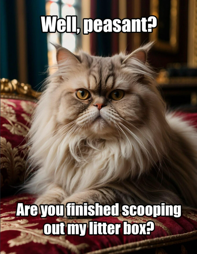 Well, peasant? Are you finished scooping out my litter box?