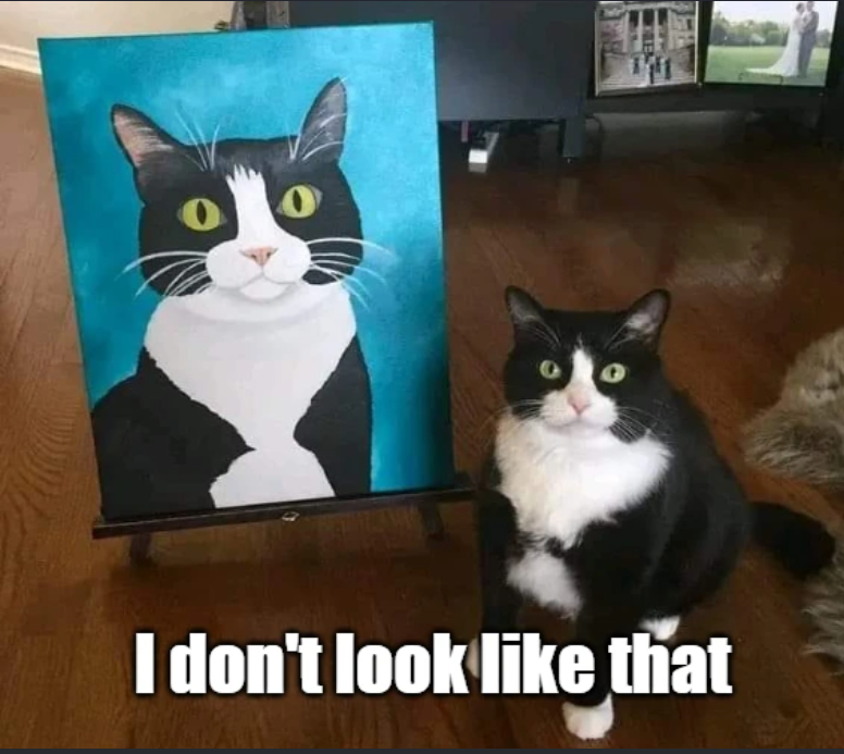 0 I don't look like that