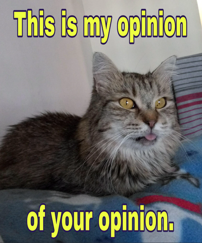 This is my opinion of your opinion.