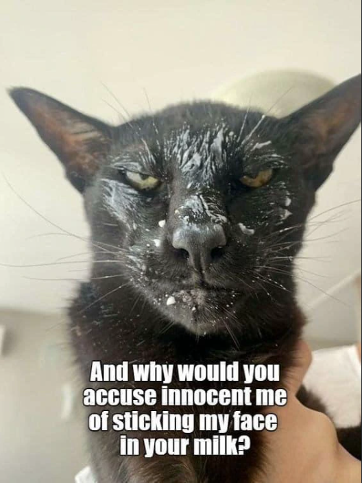 And why would you accuse innocent me of sticking my face in your milk?