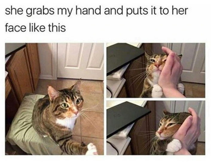 she grabs my hand and puts it to her face like this