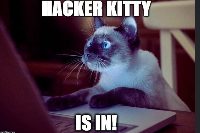 HACKER KITTY IS IN! imgflip.com
