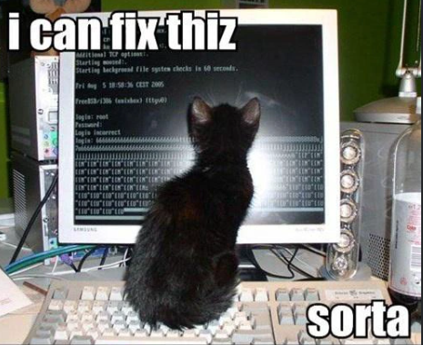 i can fix thiz Starting sed Starting background file systes checks is 60 seconds. Fri 5 18:58 CEST 2005 Free/1386 (sixbex) (ty) login: root Password Logis incorrect Sorta