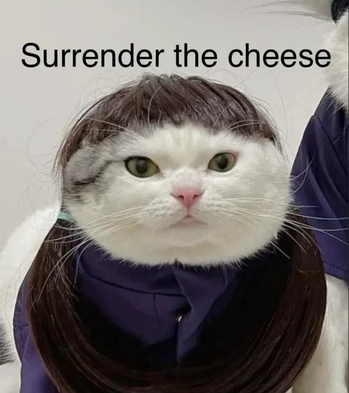 Surrender the cheese