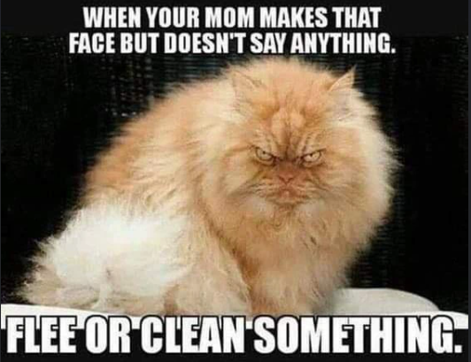 WHEN YOUR MOM MAKES THAT FACE BUT DOESN'T SAY ANYTHING. FLEE OR CLEAN SOMETHING.