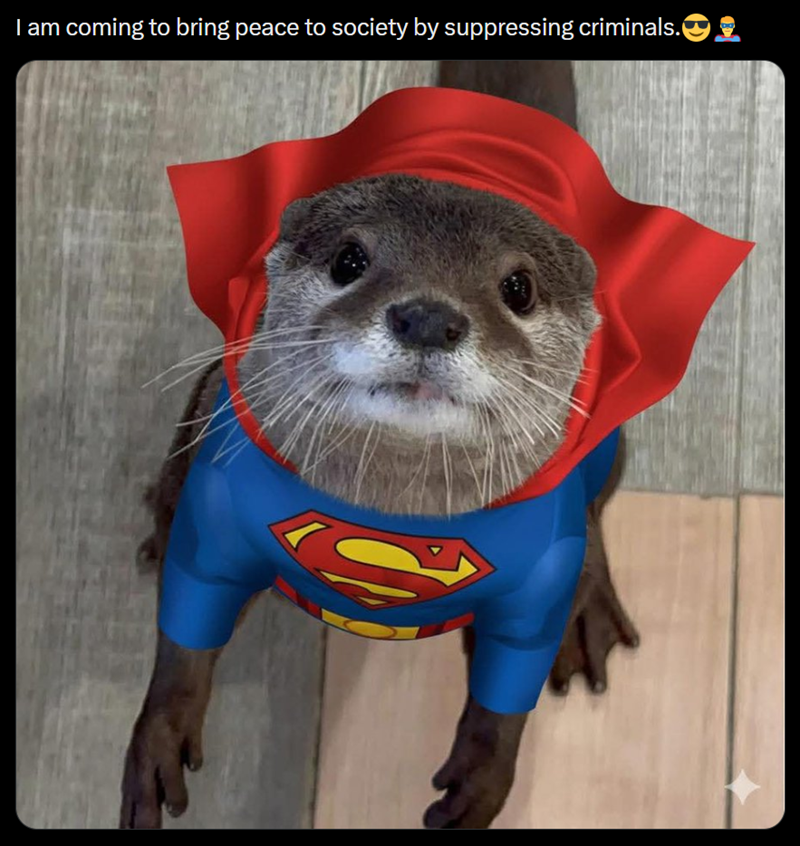 I am coming to bring peace to society by suppressing criminals.2