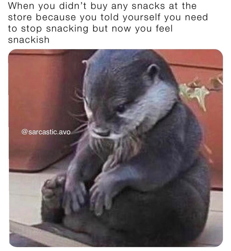 When you didn't buy any snacks at the store because you told yourself you need to stop snacking but now you feel snackish @sarcastic.avo