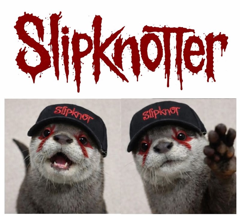Slipknotter Slipknor Slipknor