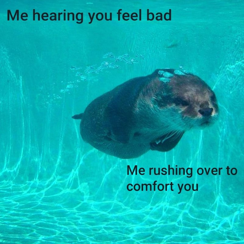 Me hearing you feel bad Me rushing over to comfort you