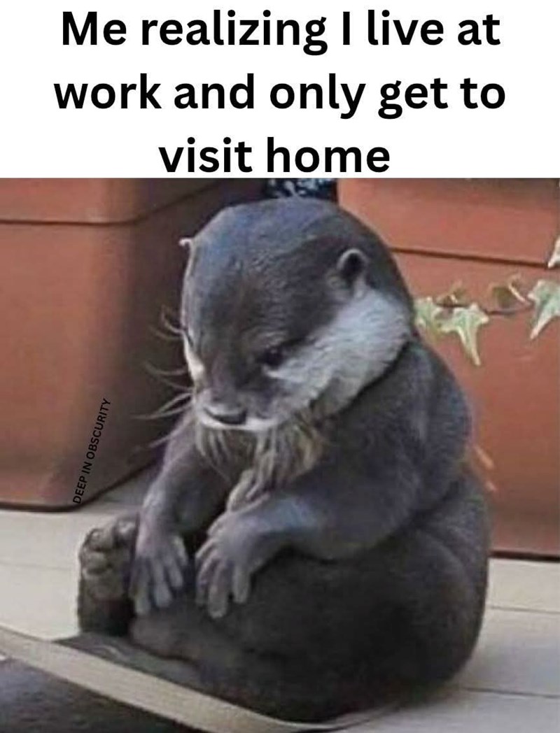 DEEP IN OBSCURITY Me realizing I live at work and only get to visit home