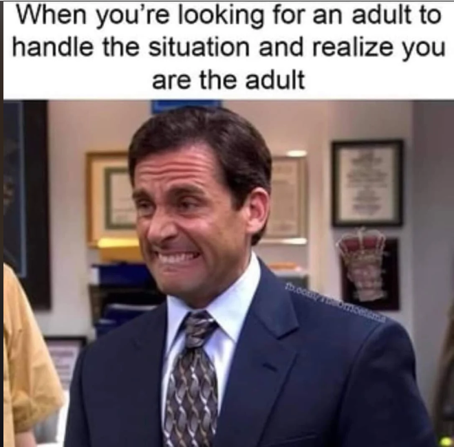 When you're looking for an adult to handle the situation and realize you are the adult fb.ecatomoetema
