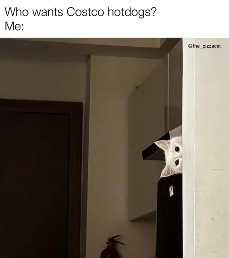 Who wants Costco hotdogs? Me: @the_pizzacat