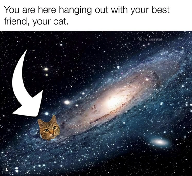 You are here hanging out with your best friend, your cat. @the_pizzapat