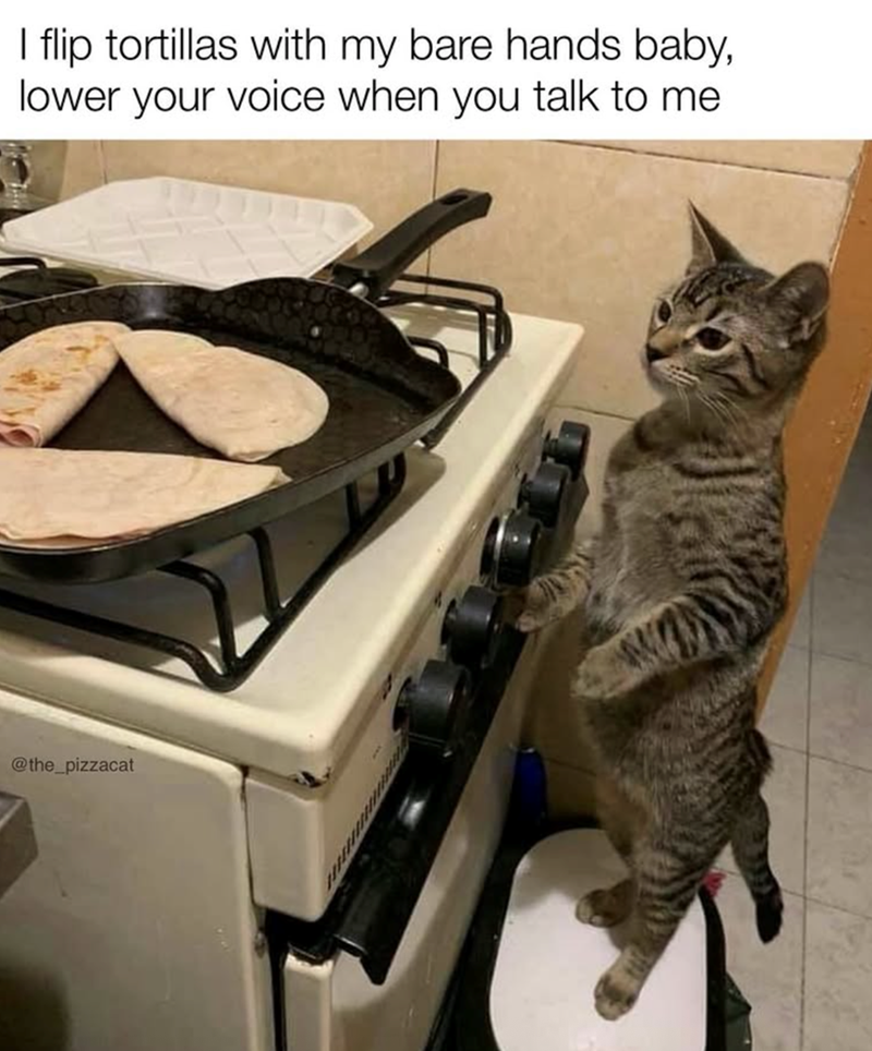 I flip tortillas with my bare hands baby, lower your voice when you talk to me @the_pizzacat