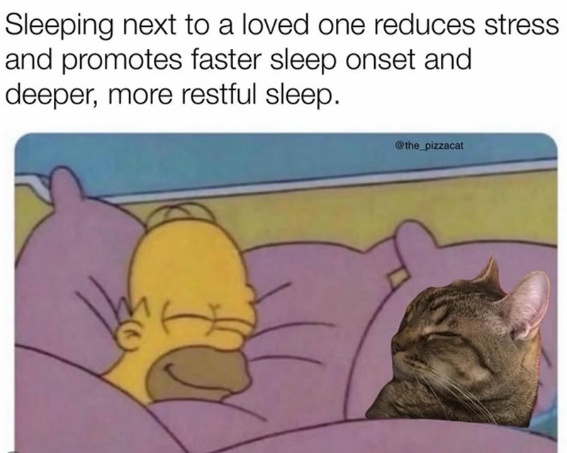 Sleeping next to a loved one reduces stress. and promotes faster sleep onset and deeper, more restful sleep. @the_pizzacat