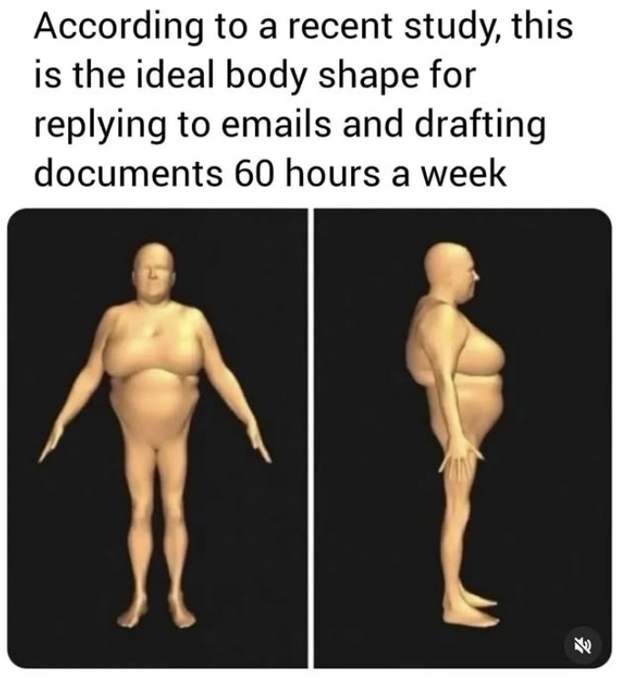 According to a recent study, this is the ideal body shape for replying to emails and drafting documents 60 hours a week K