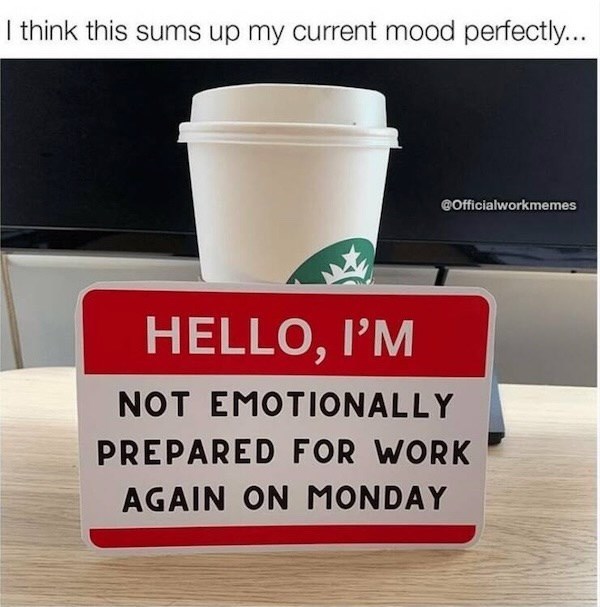 I think this sums up my current mood perfectly... @Officialworkmemes HELLO, I'M NOT EMOTIONALLY PREPARED FOR WORK AGAIN ON MONDAY