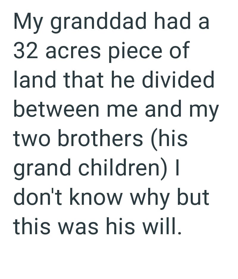 My granddad had a 32 acres piece of land that he divided between me and my two brothers (his grand children) I don't know why but this was his will.